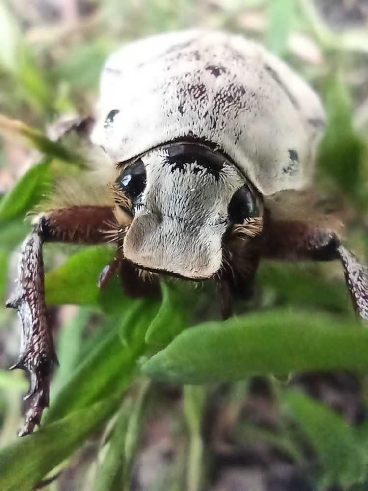 Photograph by Ольга Харламова