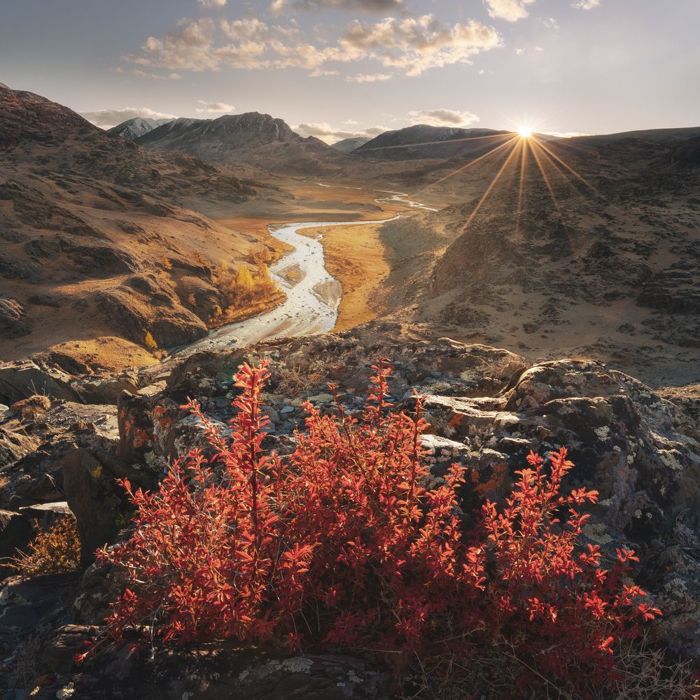 Photograph by Michael Kharitonychev