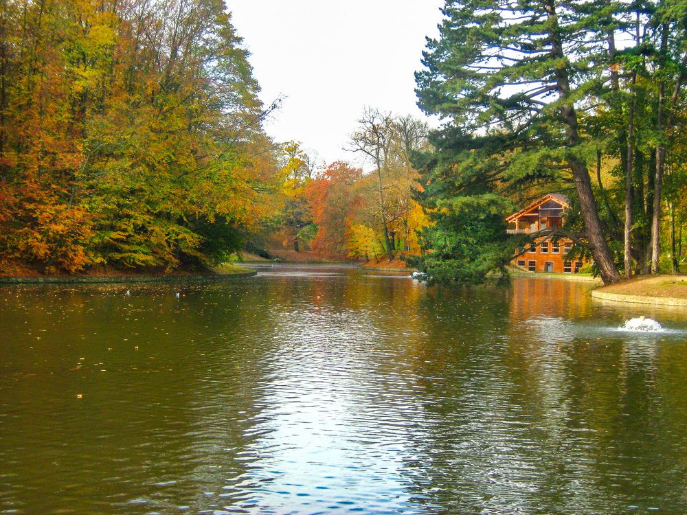 Photograph by Екатерина Казарцева