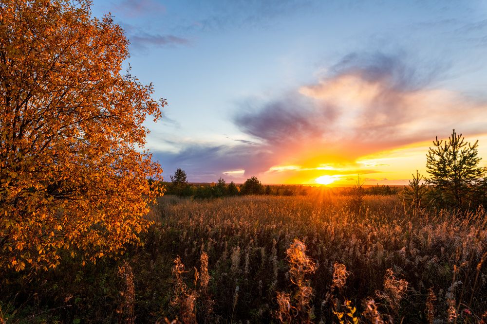 Photograph by Олег Буторин