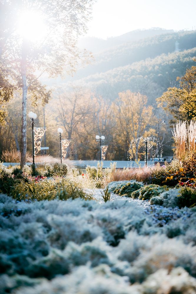 Photograph by Дмитрий Колосов