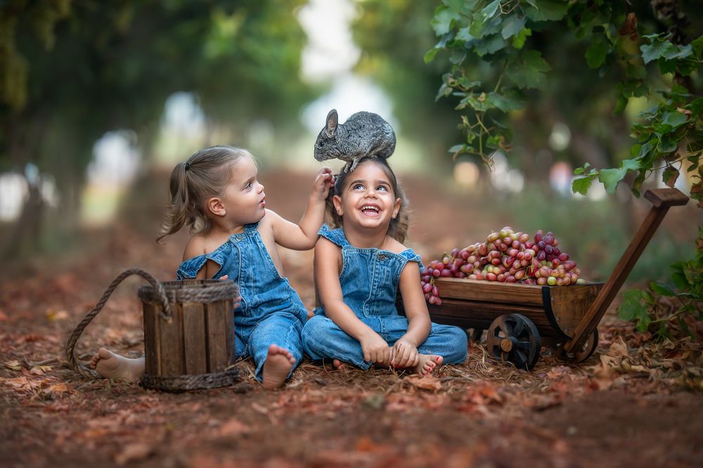 Фотография автора osher pashinsky