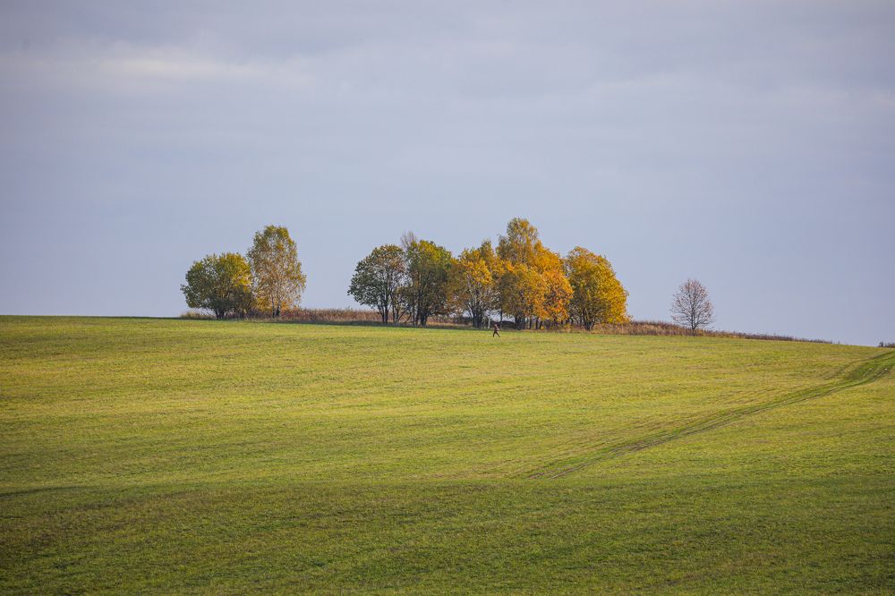 Photograph by Sergey Uskov