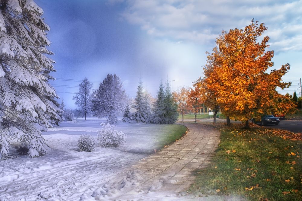 Фотография автора Юлия Кранина