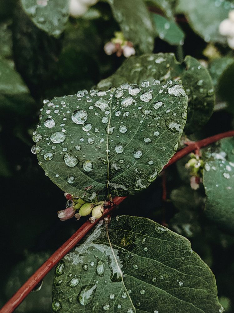 Photograph by Гульнара Зиангирова