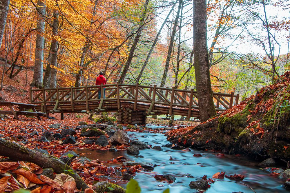 Photograph by Barış Çeker