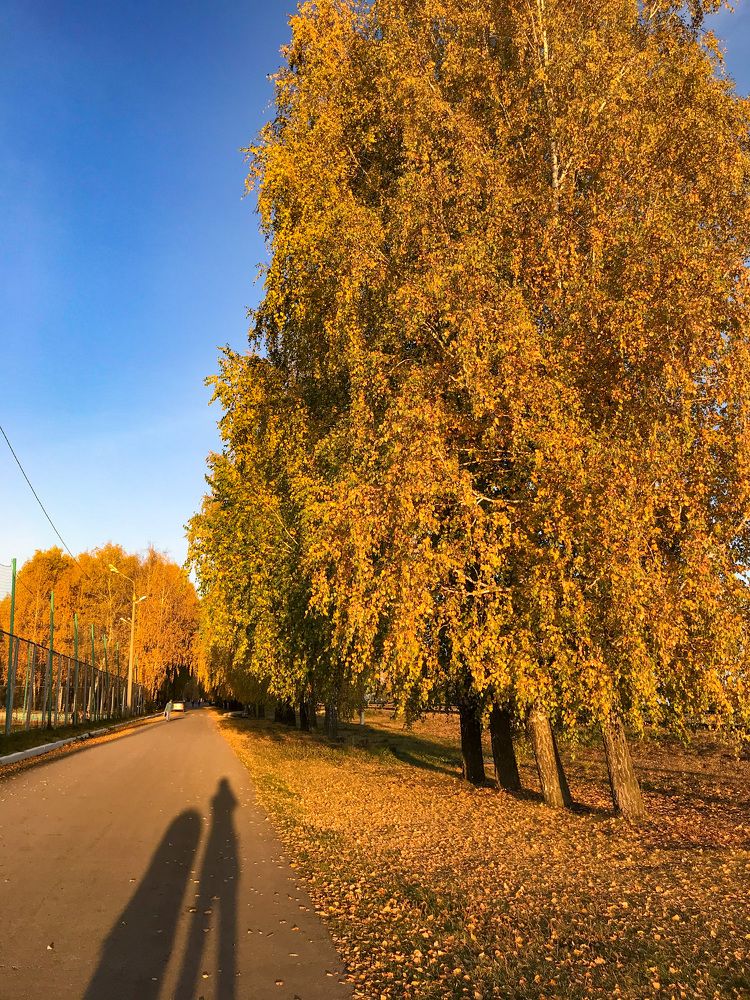 Photograph by Елена Си