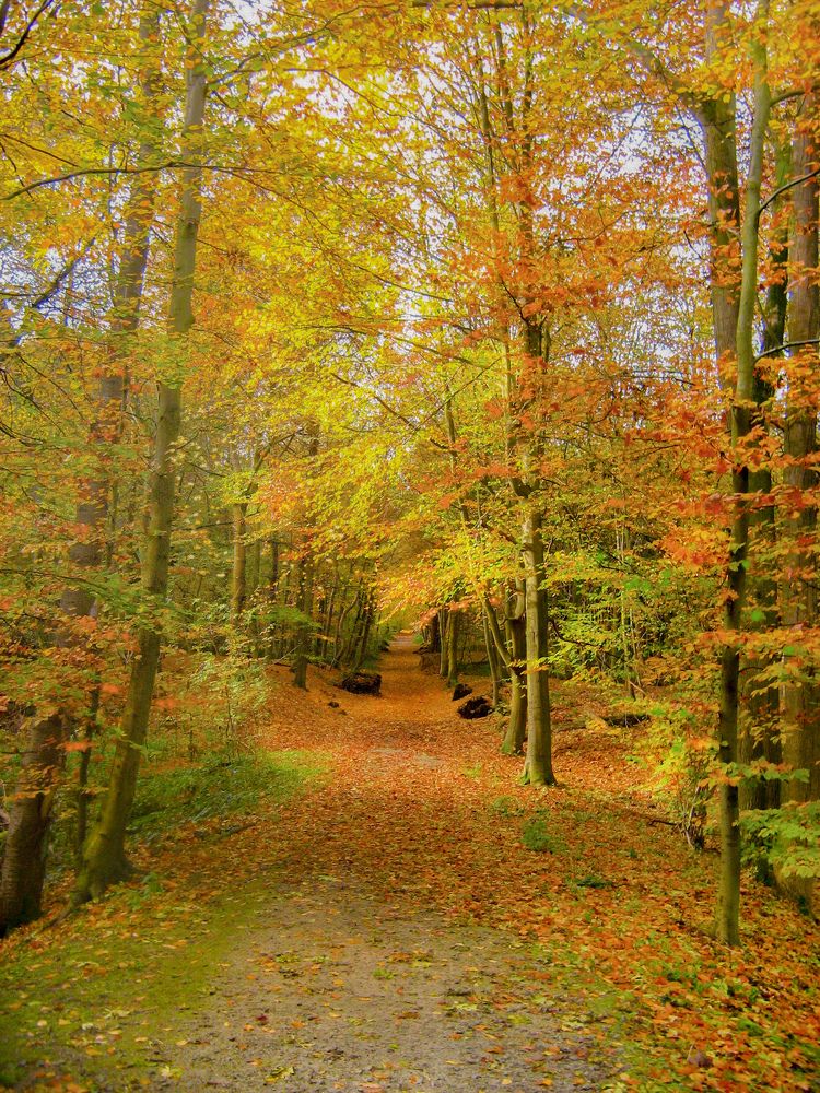 Photograph by Екатерина Казарцева