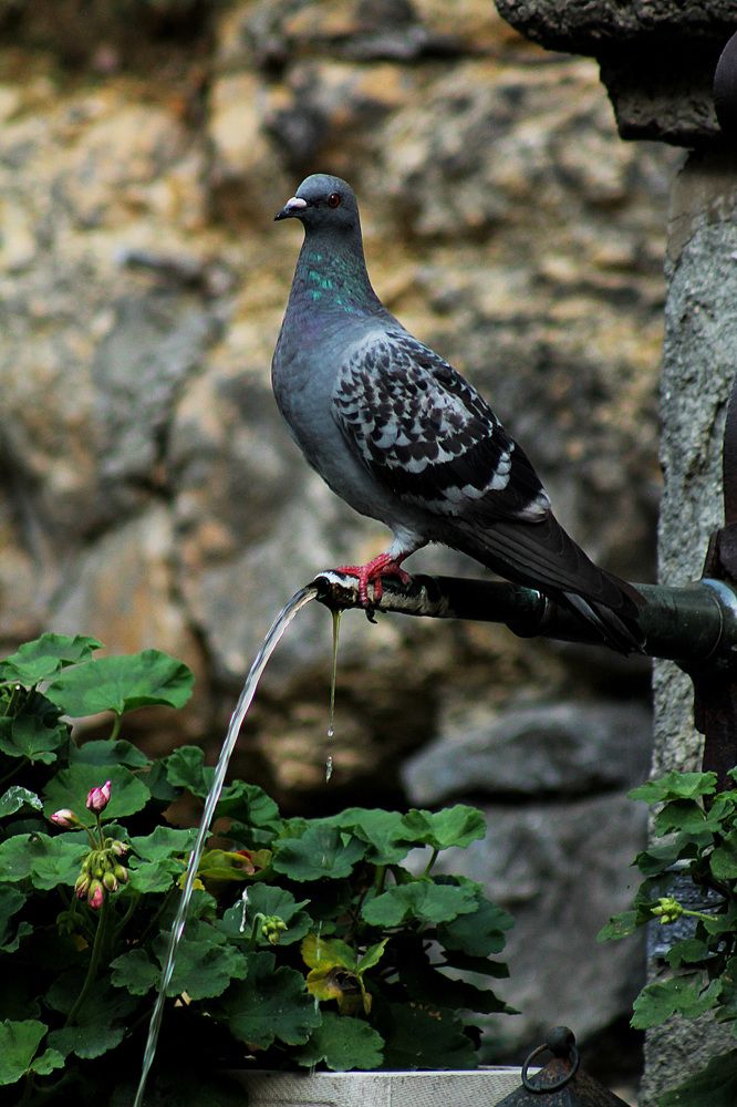 Photograph by Диана Ульянцева