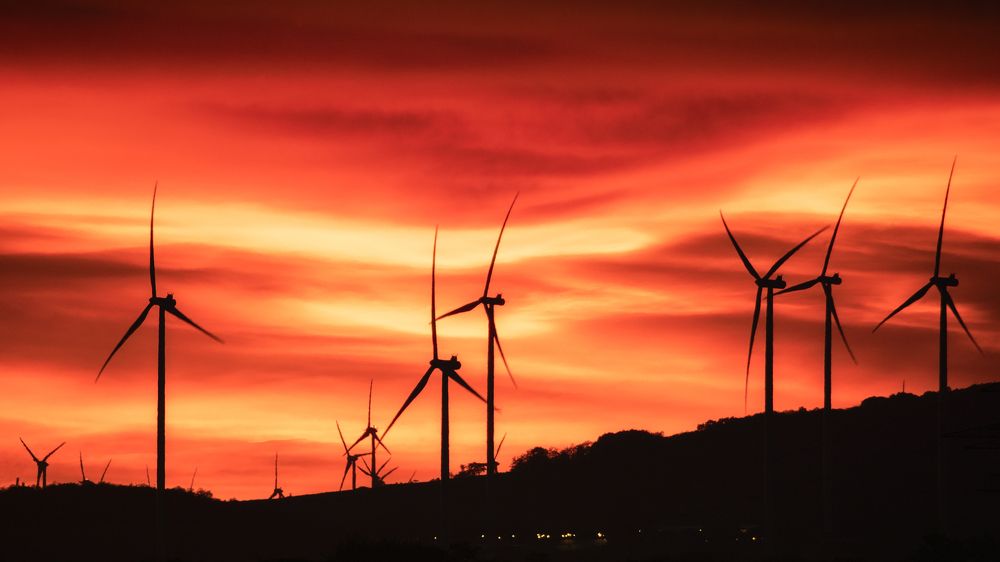 Photograph by Lara Iris