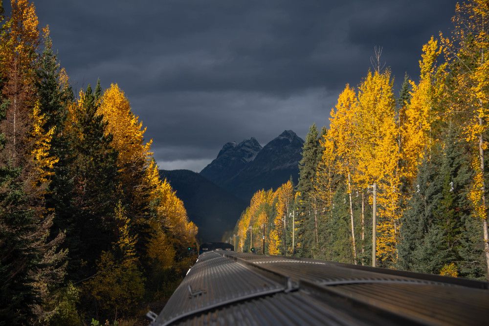 Photograph by JOY SAHA