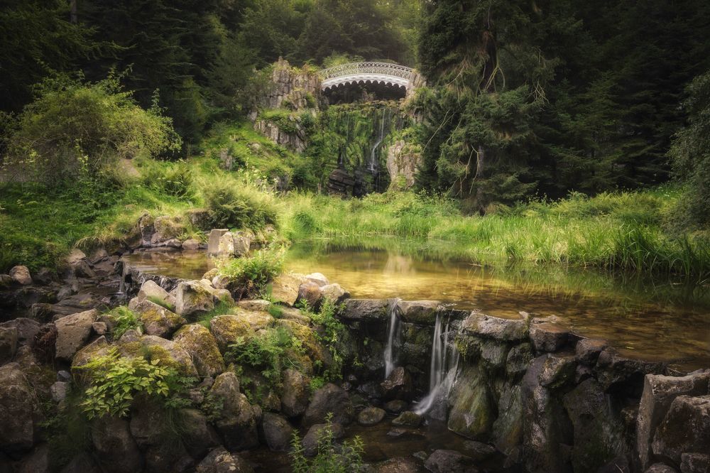 Photograph by Lara Iris