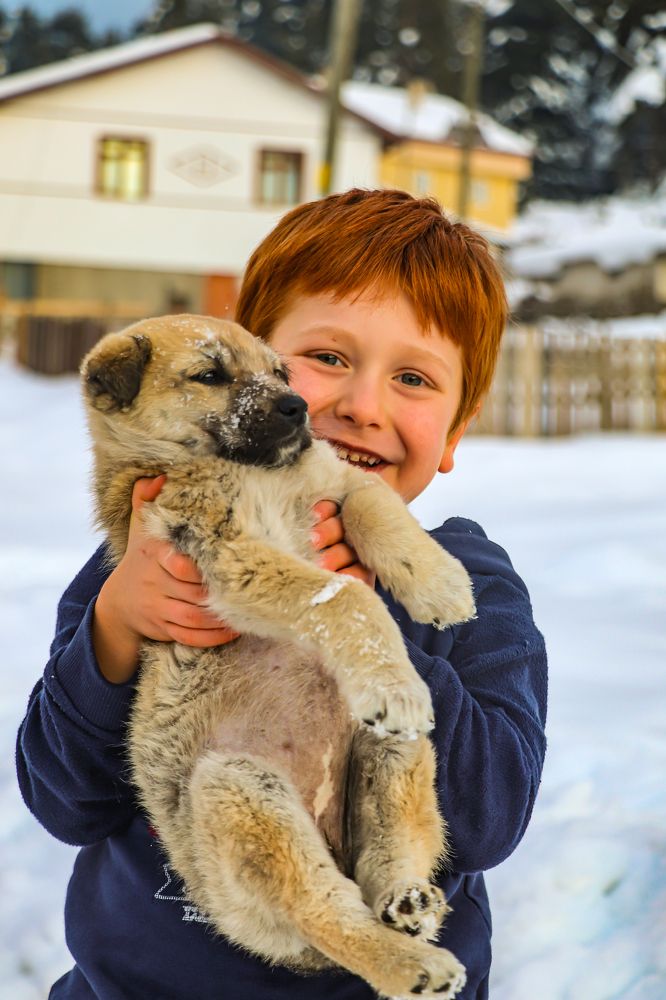 Photograph by Barış Çeker
