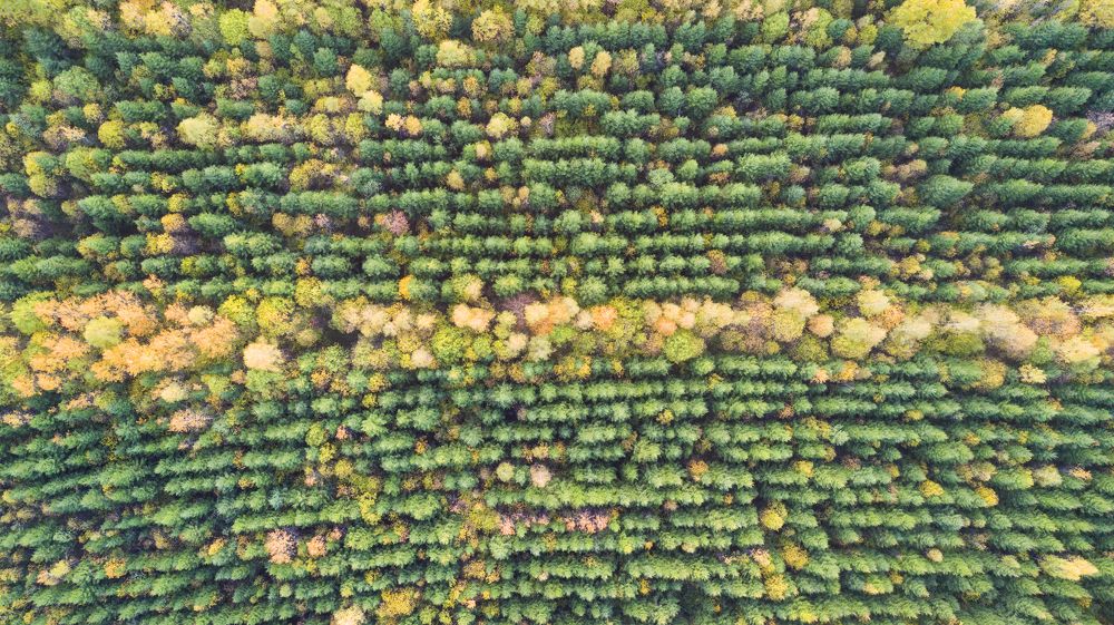 Photograph by Вадим Сташкевич