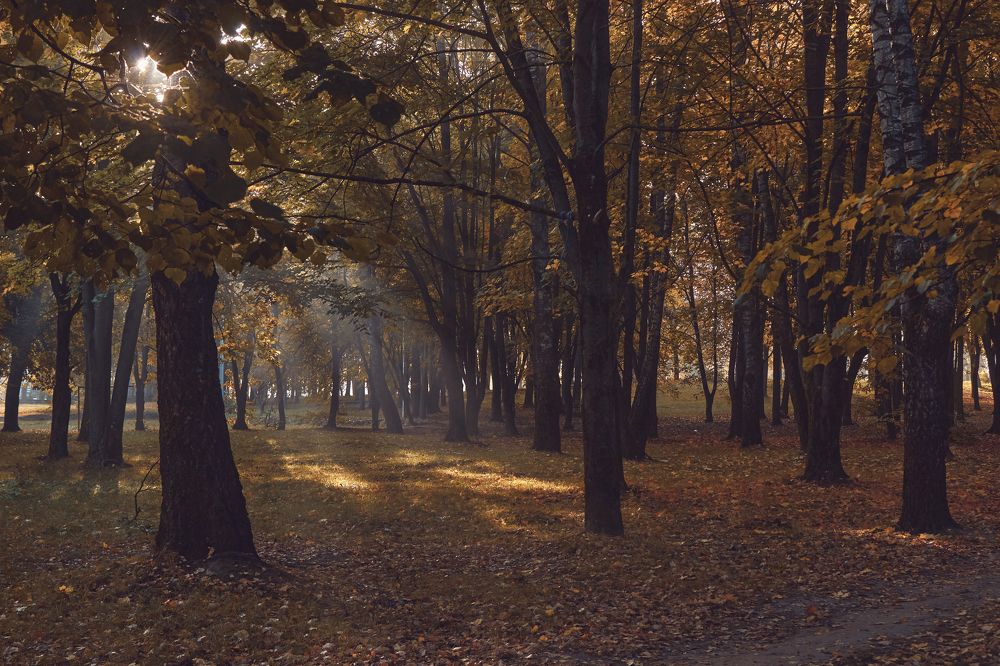 Photograph by Валерий Зенович