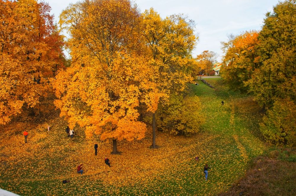 Фотография автора Slim Soyadi