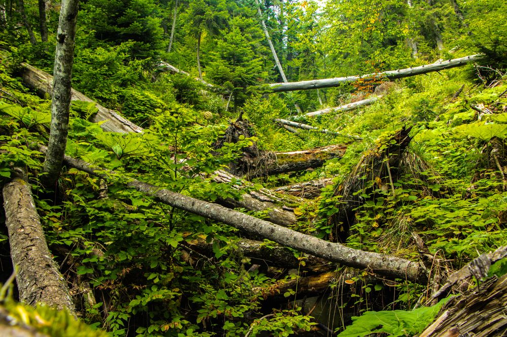 Photograph by Barış Çeker