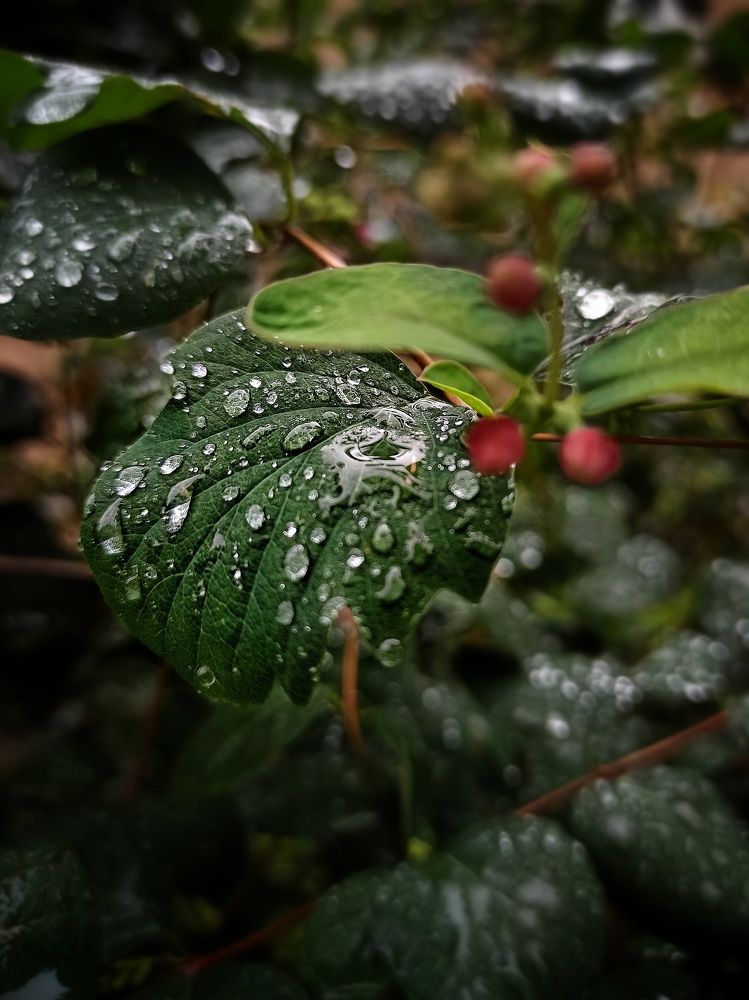 Photograph by Дина Полухина