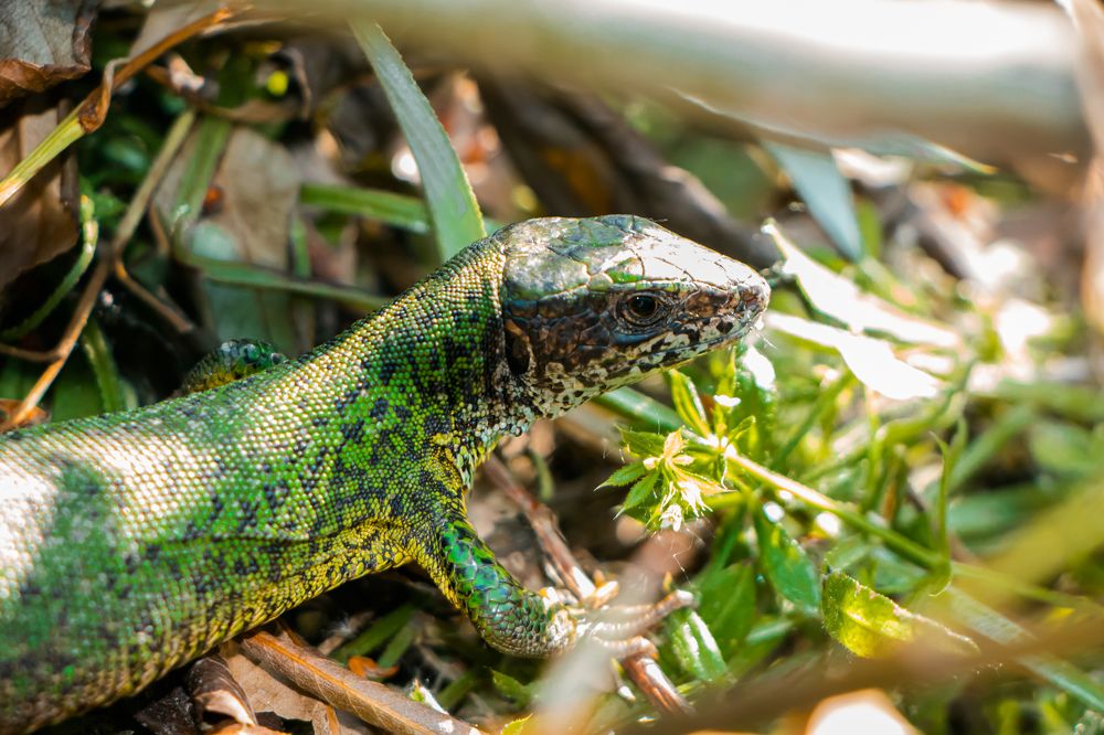 Photograph by Barış Çeker