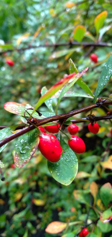 Photograph by Любовь Макарова