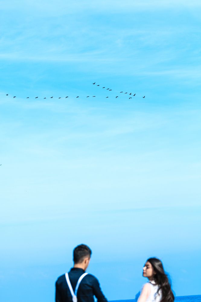 Photograph by Mohammad Reza Borji