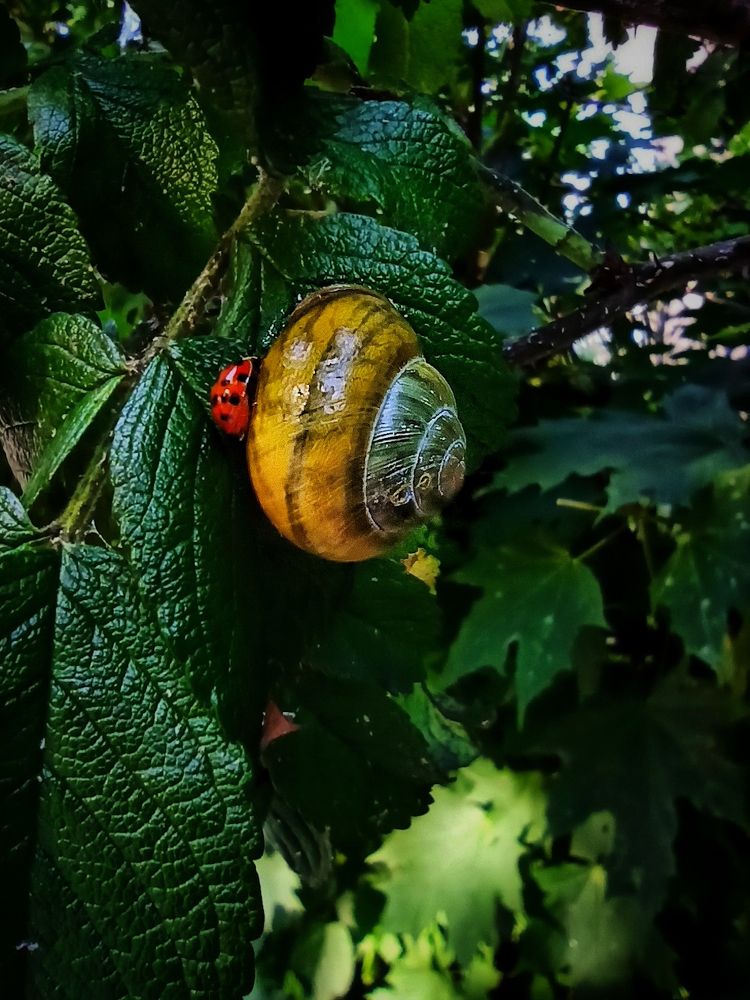 Photograph by Дина Полухина