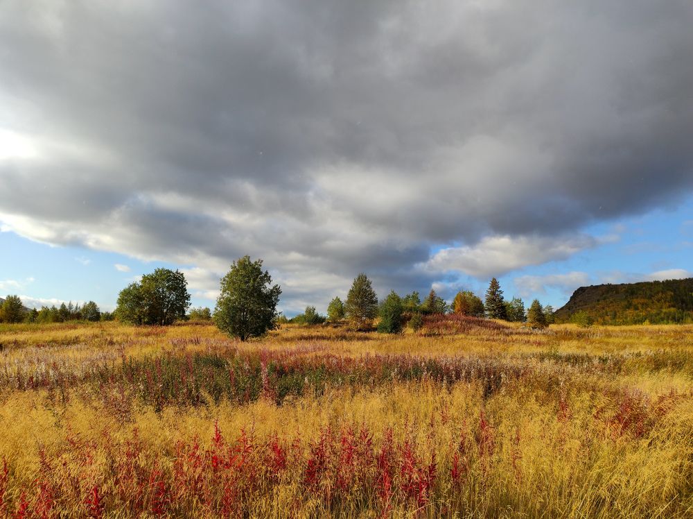 Photograph by Алексей Кириллов