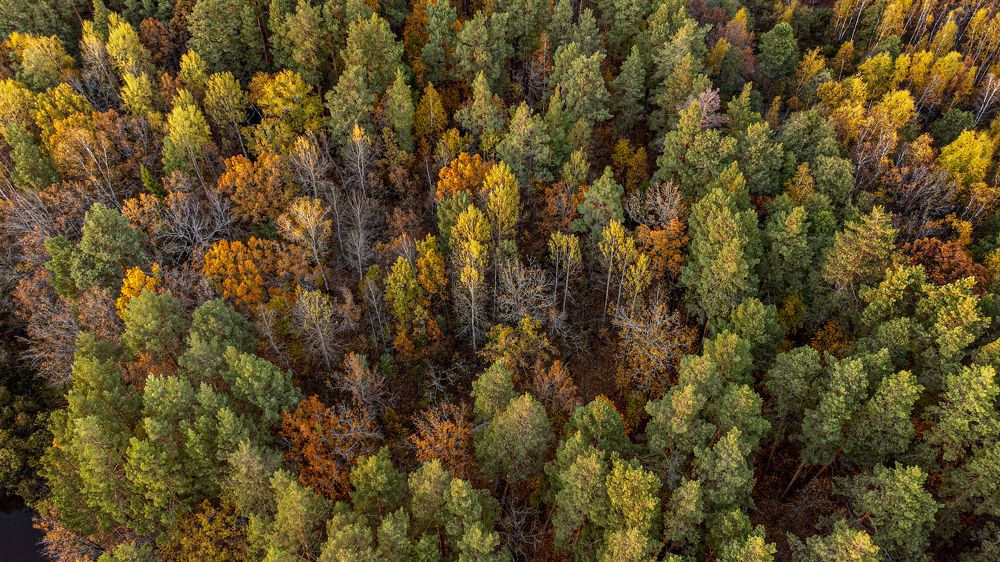 Photograph by АНДРЕЙ АБАКУМОВ