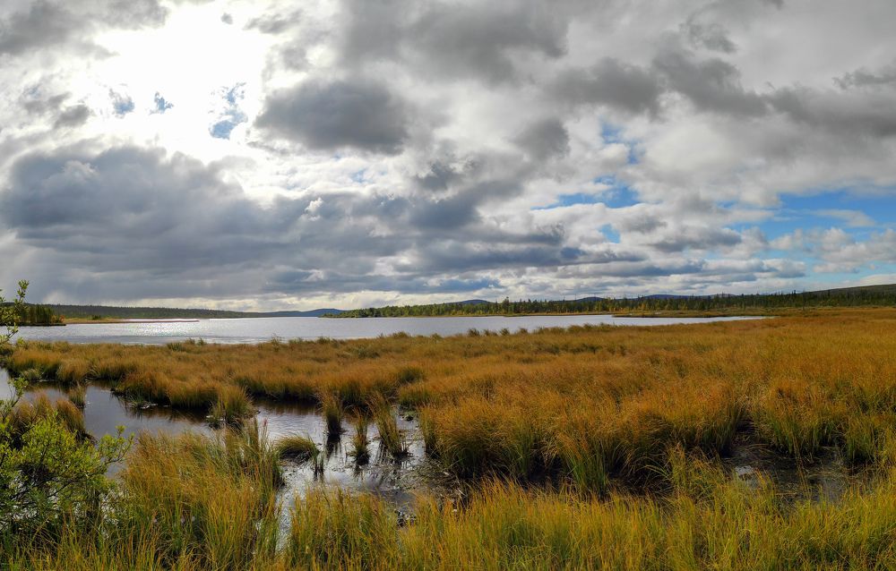 Photograph by Алексей Кириллов