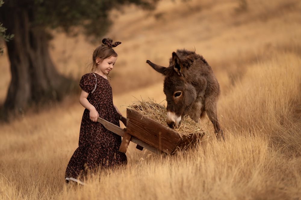 Photograph by Виктория Кузнецова