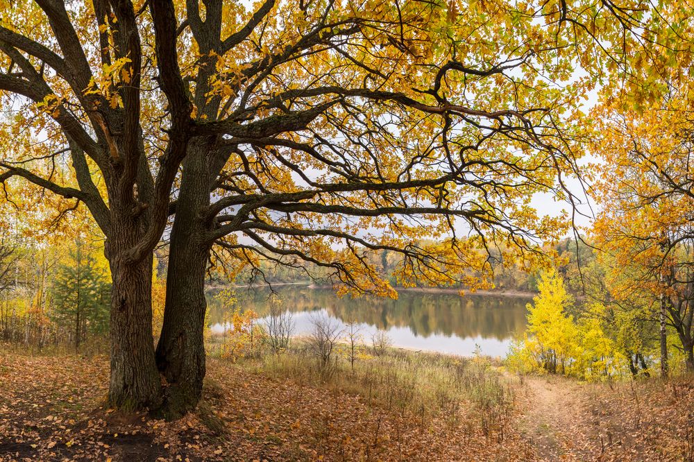 Photograph by Всеволод Ануфриев