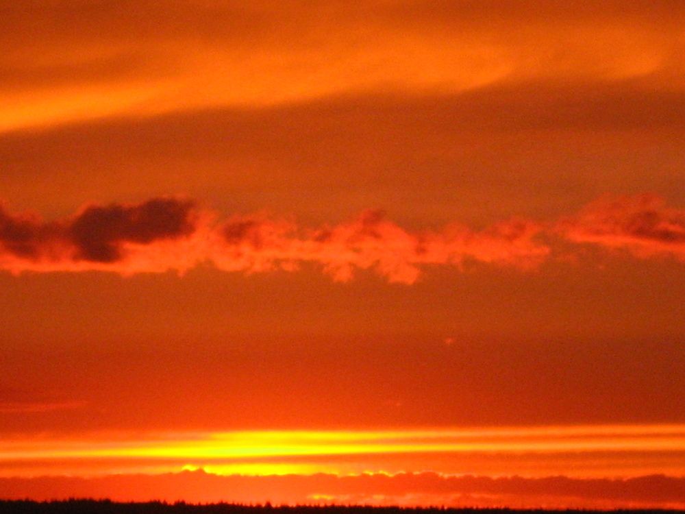 Photograph by Натали ДанКо