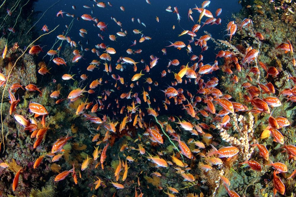 Photograph by HITOMI TSUCHIYA