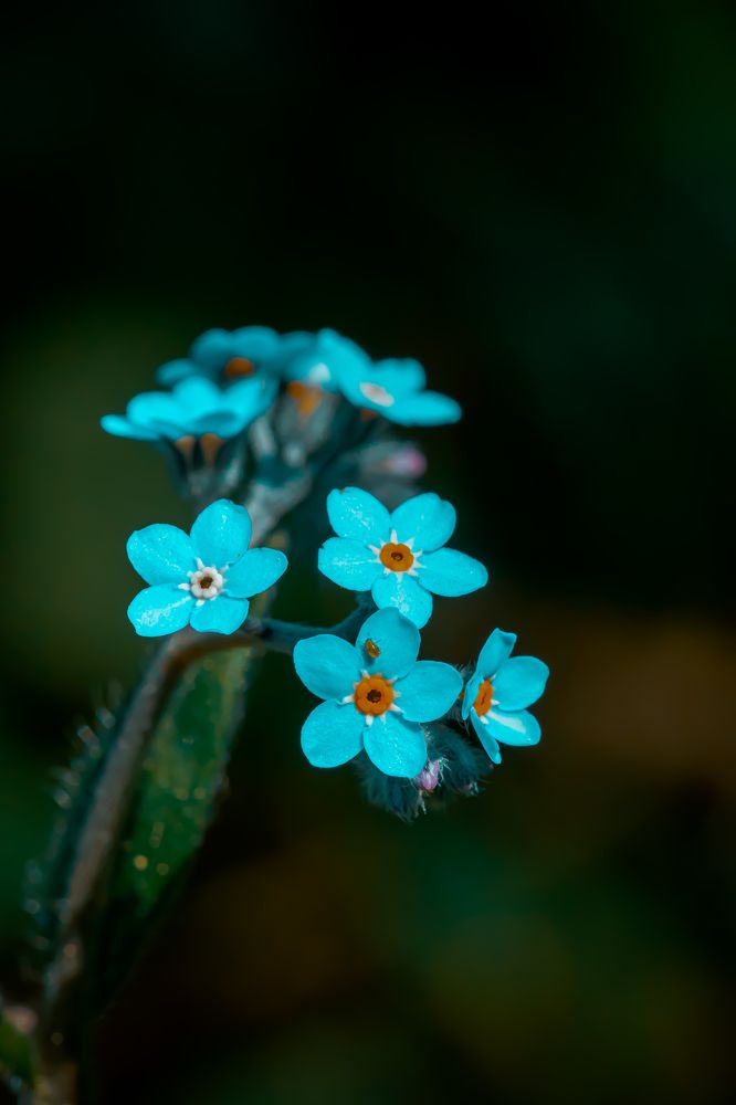 Photograph by Barış Çeker