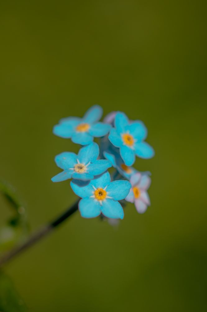 Photograph by Barış Çeker