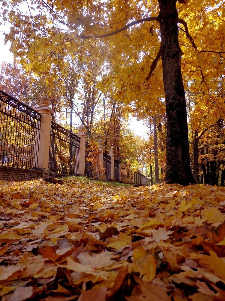 Photograph by Наталья Сазонова