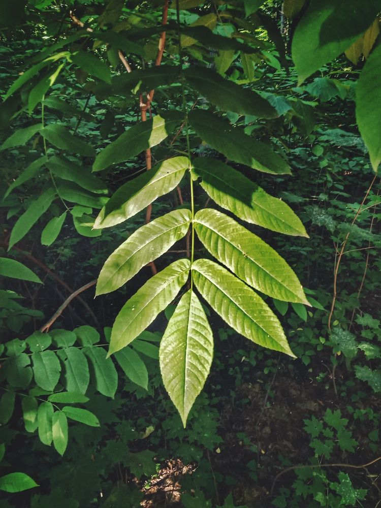 Photograph by Болдаков Сергей