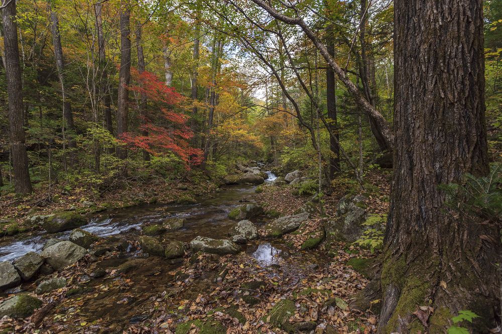 Photograph by ALEKSANDR KUZNETSOV