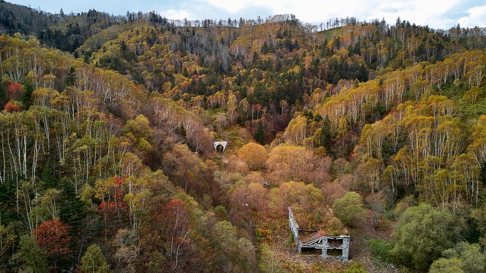Фотография автора Вадим Бороненков