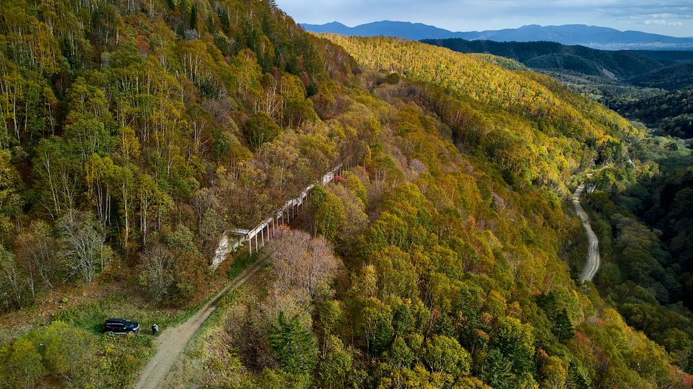 Фотография автора Вадим Бороненков