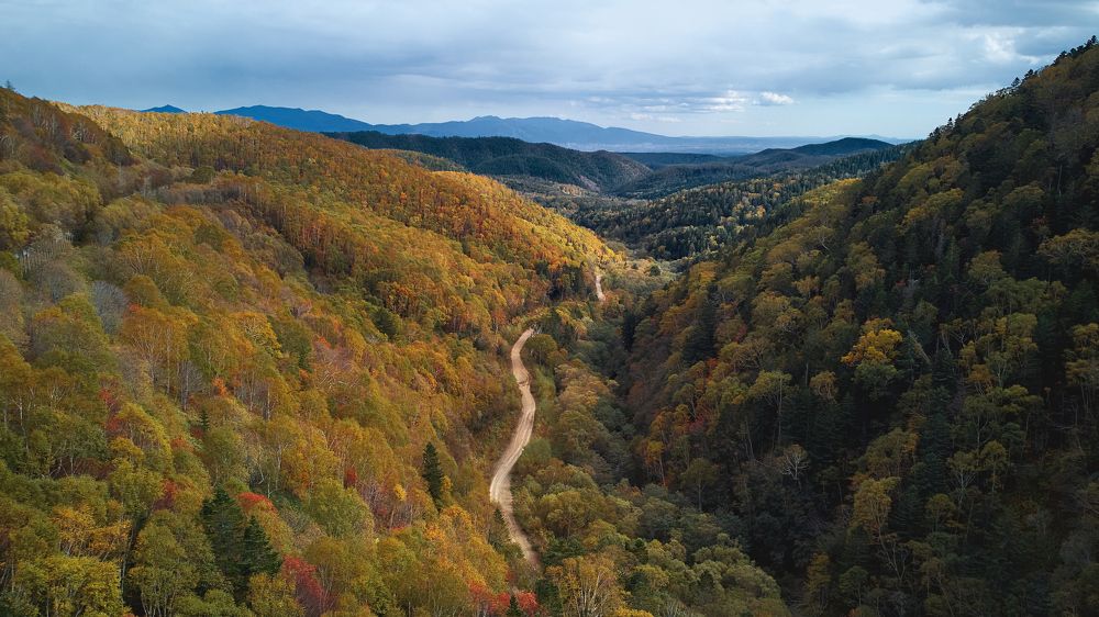 Осень на острове