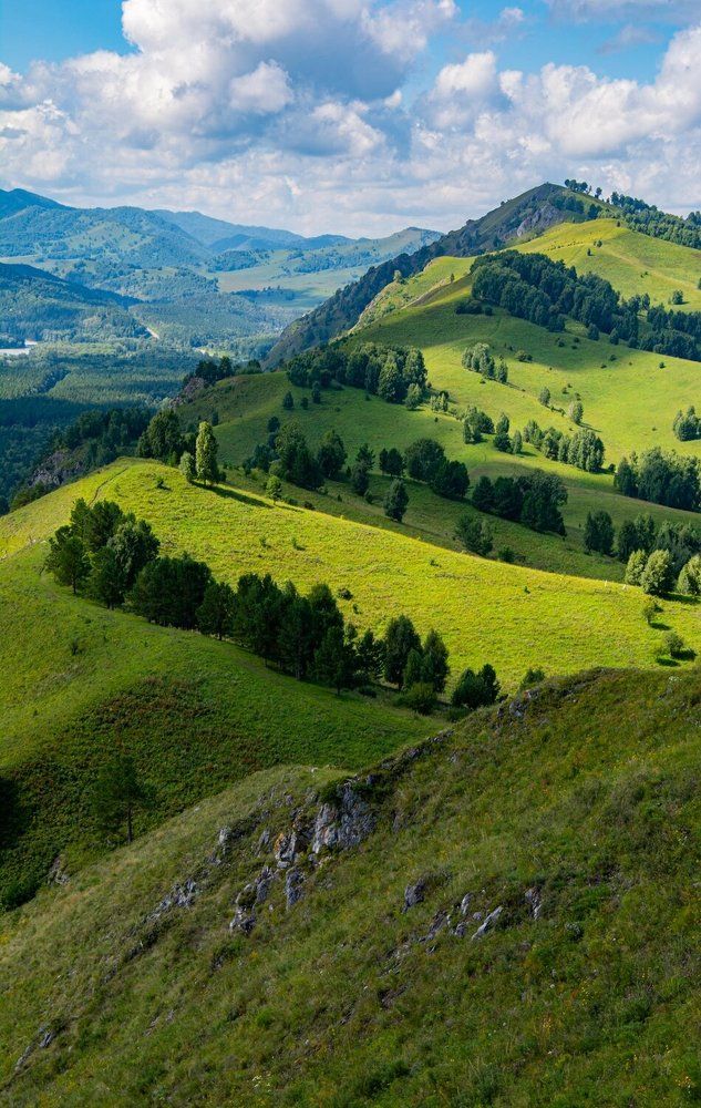 Photograph by Алексей Фетисов