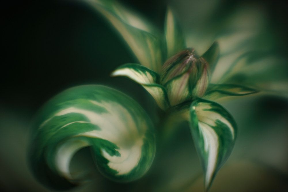 Photograph by Виктор Иванов