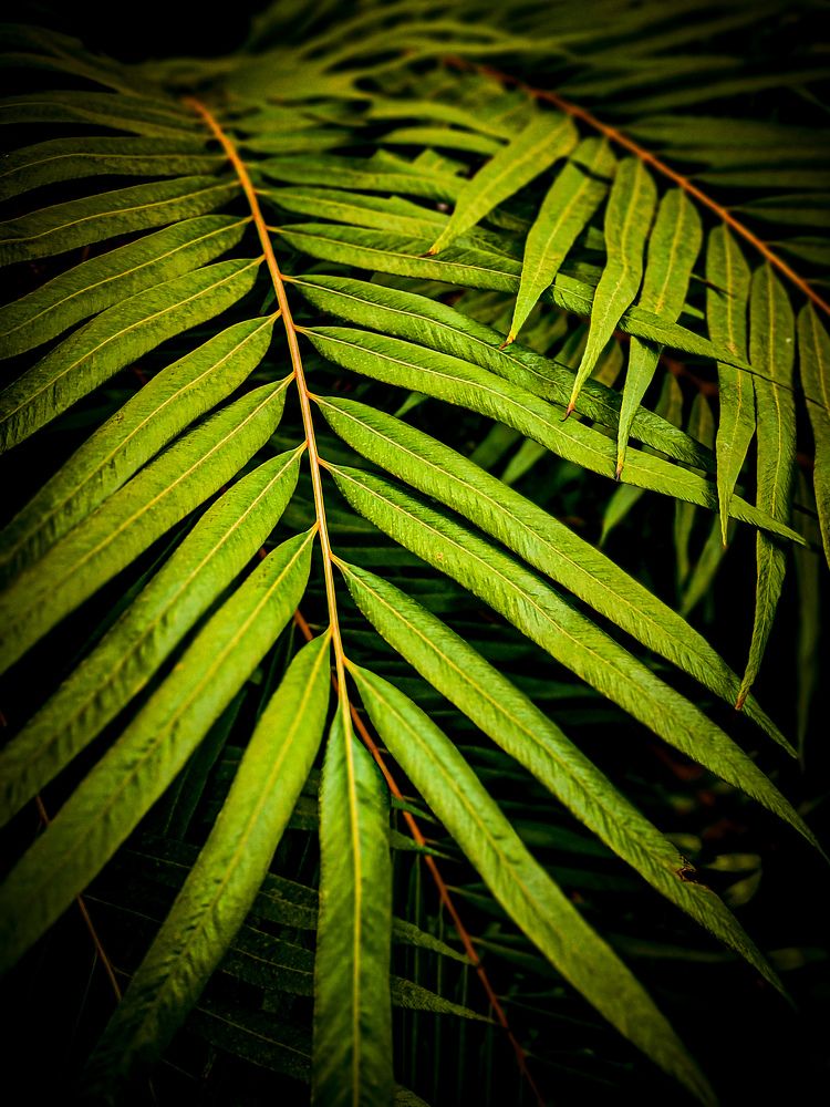 Photograph by Chic.chiquitita