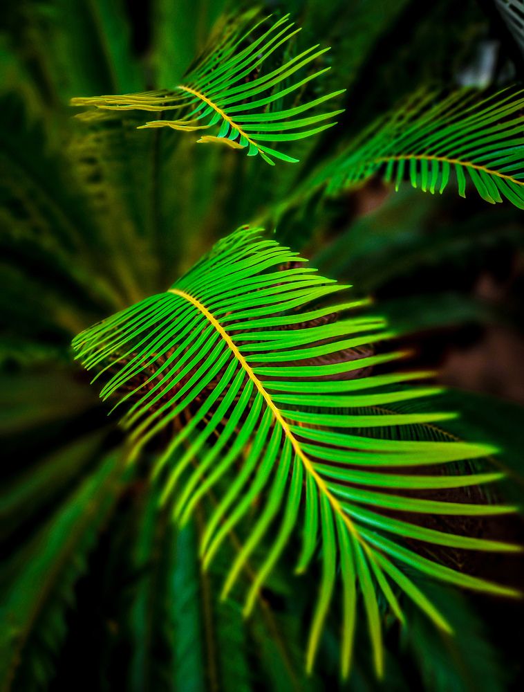 Photograph by Chic.chiquitita