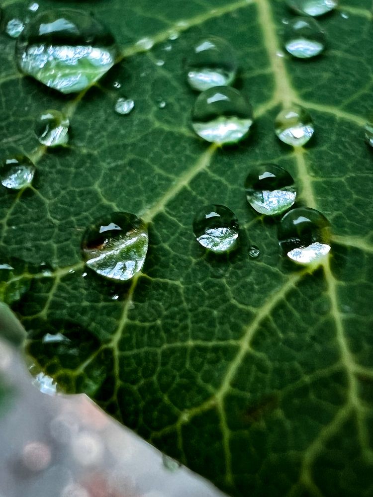 Photograph by Дамир Давронов