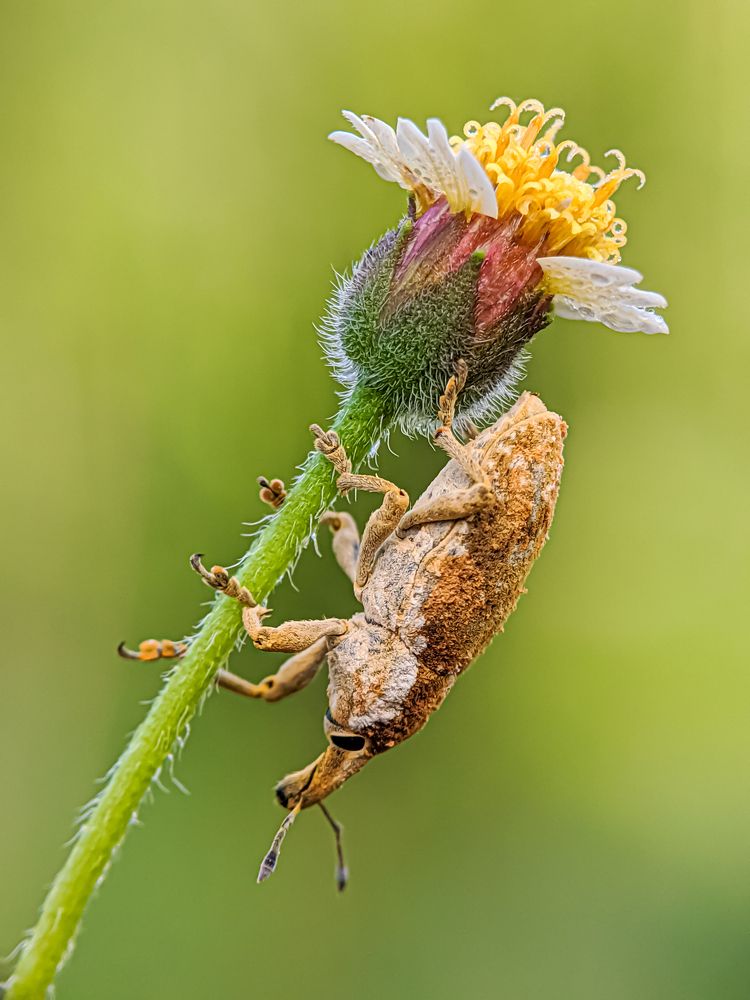 Photograph by Md Raihan