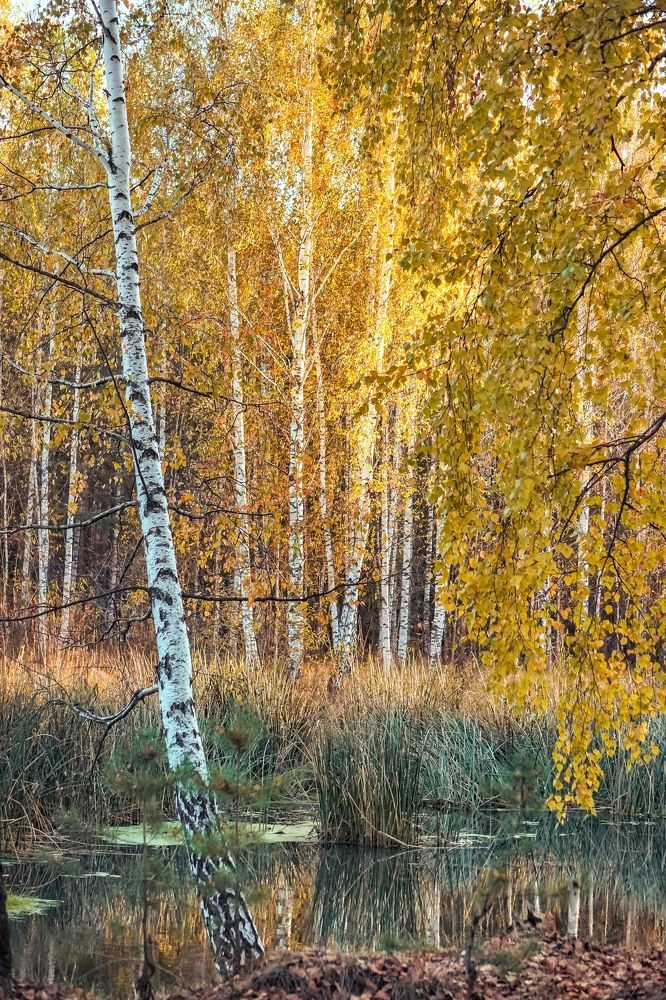 Photograph by Высотских Владимир