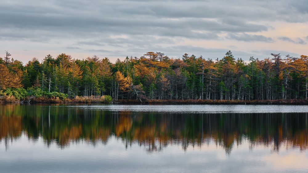 Photograph by Андрей Бельцов