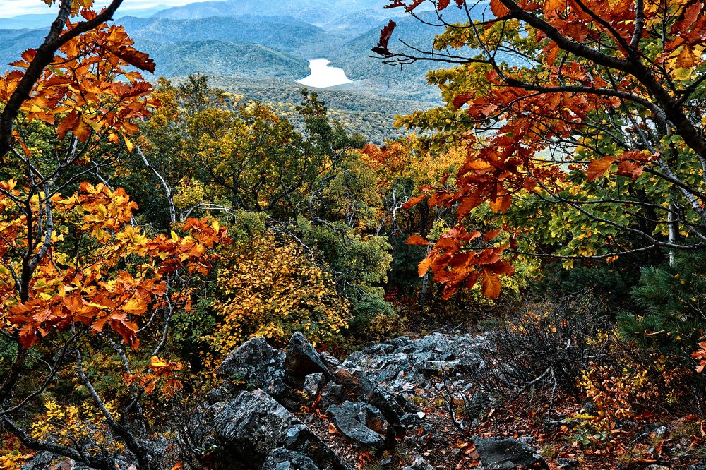 Photograph by Андрей Бельцов